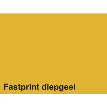 Kopieerpapier Quantore Colour A4 80gr 500 vel