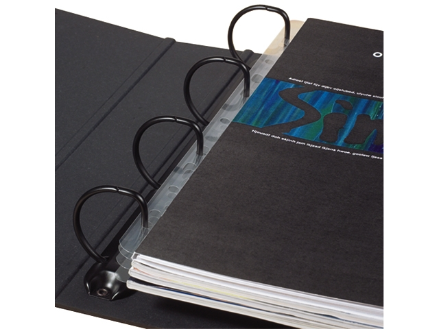 filestrip 3l 8804-50 295mm 2/4rings