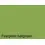 Kopieerpapier Quantore Colour A4 160gr