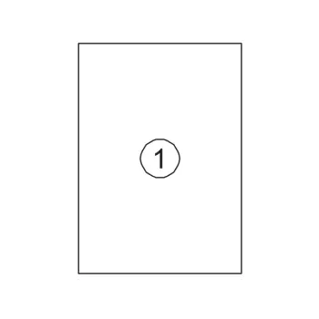 Etiket avery kopieer dps01 a4 100st