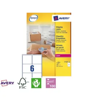 Avery etiket laser 99.1x93.1mm(600)