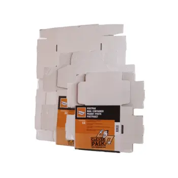 postpakket cleverpack golfkarton 220x160x90mm