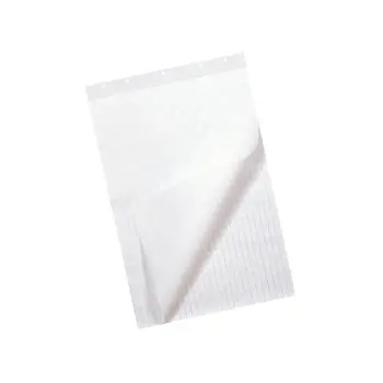 Flipoverpapier 65x100cm blanco/ruit
