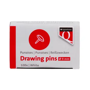 Punaises Quantore 100 stuks zilver