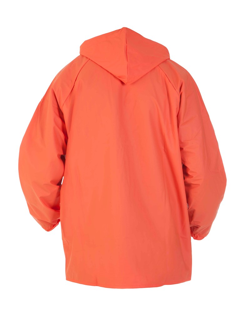 Afbeelding  7000009 008