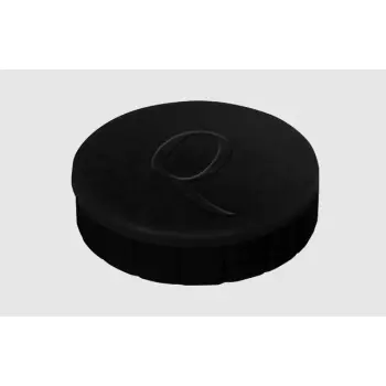 Magneet Quantore 20mm 300gram zwart 10 stuks