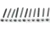 Spaanplaatschroeven op band platkop verzinkt | Chipboard screws collated countersunk head zincplated | Spanplattenschrauben auf Band Senkkopf verzinkt | Vis à bois tête fraisée sur bande zingué