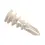 Afbeelding Toggler gipsplaatplug sp - gipsplaat 9-15mm
